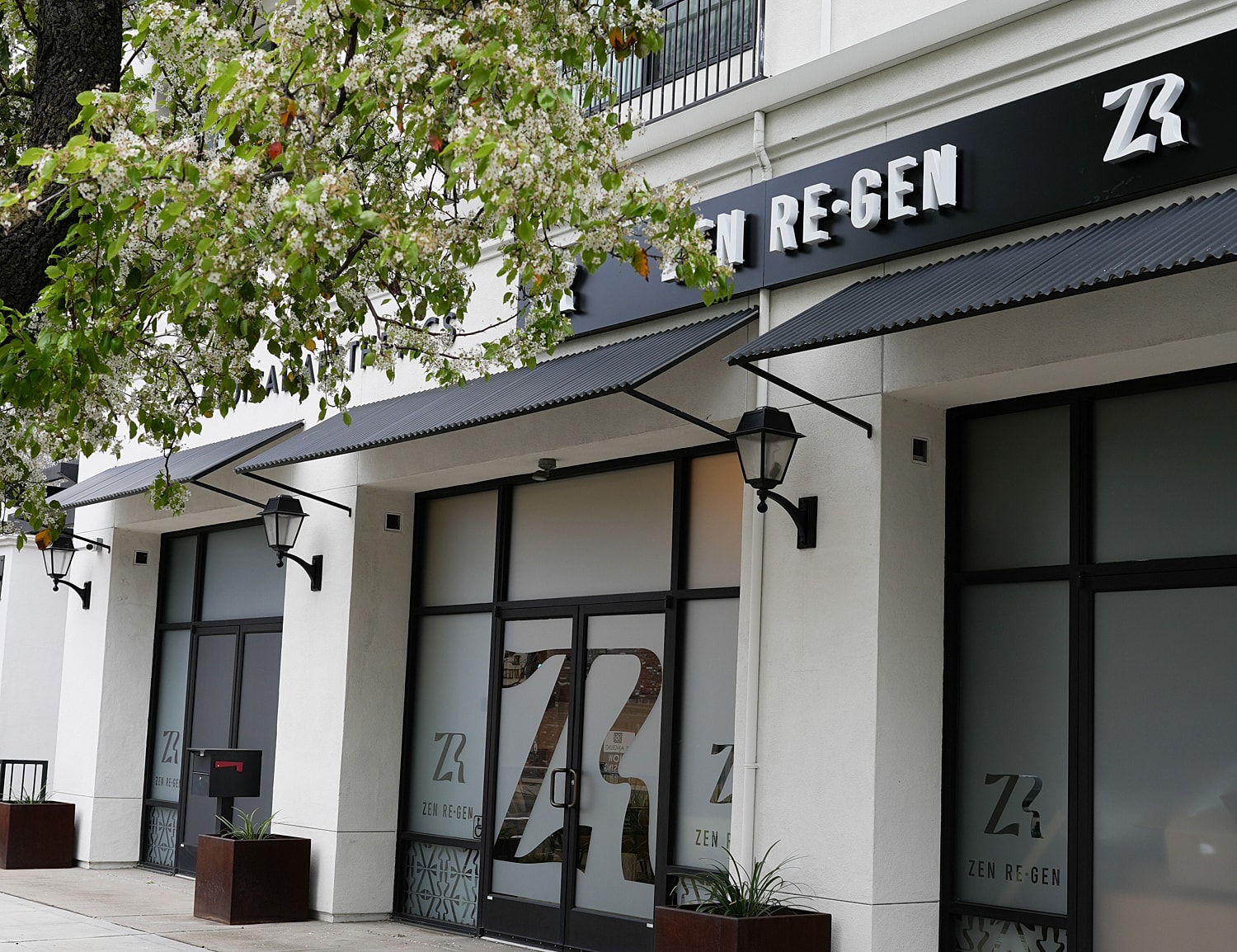 Zen Regen storefront with decorative plants.